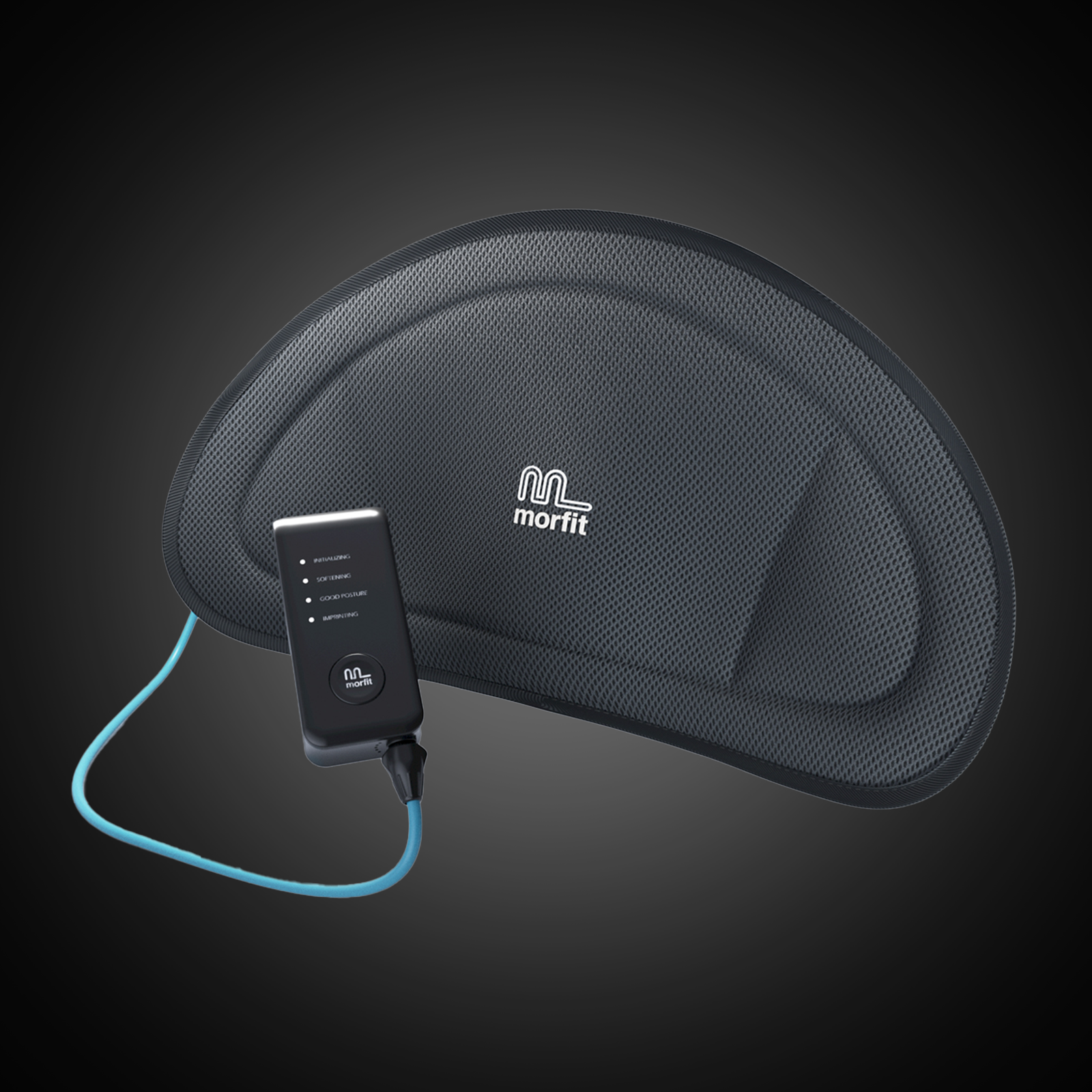 Morfit Elecric Back Support